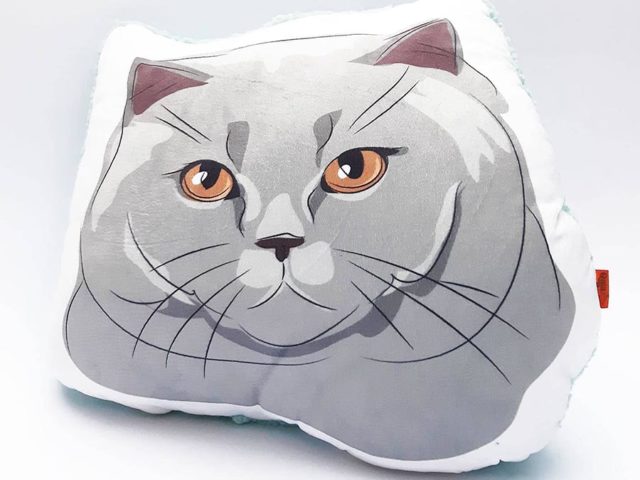 Almohada Decorativa gato gris