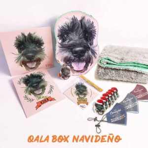 Qala Box