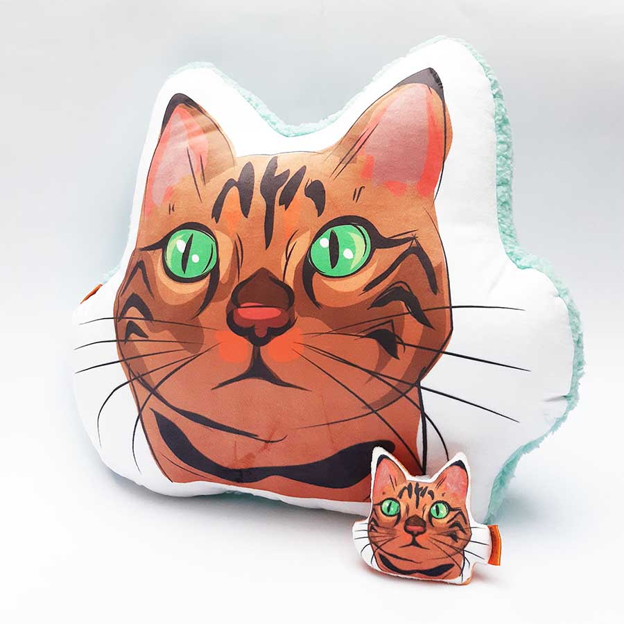Pack Almohada Decorativa + llavero gato atigrado