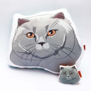 Pack Almohada Decorativa + llavero gato gris