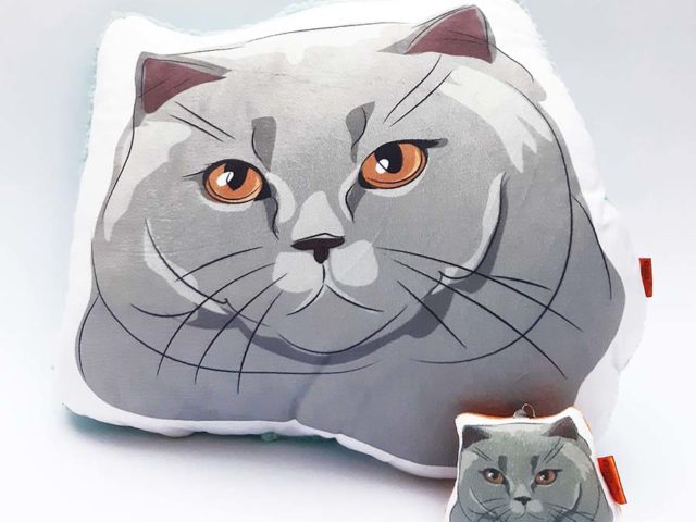Pack Almohada Decorativa + llavero gato gris