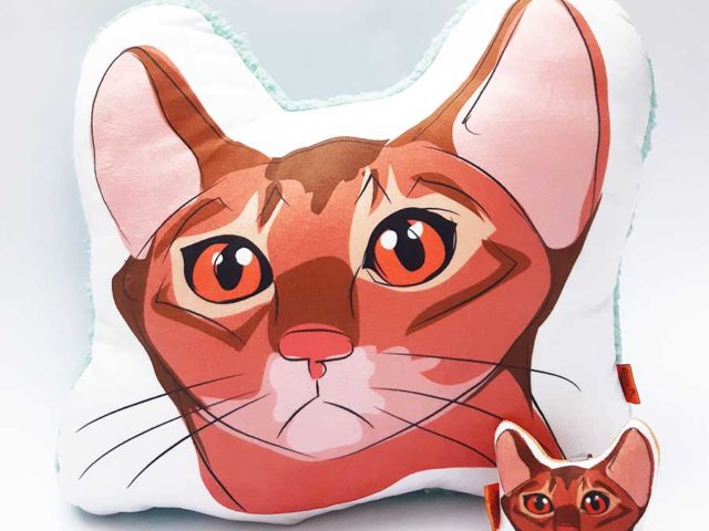 Pack Almohada Decorativa + llavero gato orejon anaranjado