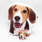 Pack Almohada Decorativa + llavero Beagle