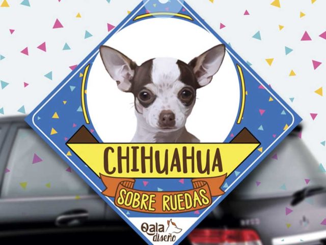 Colgante de auto de perro raza Chihuahua
