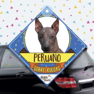 Colgante de auto de perro raza peruano Viringo