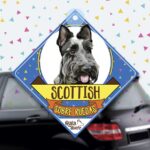 Colgante de auto de perro raza Scottish