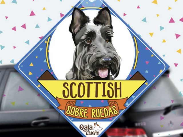 Colgante de auto de perro raza Scottish