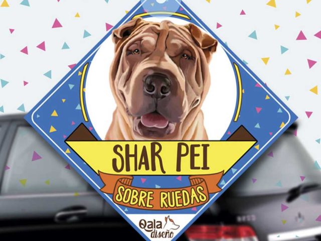 Colgante de auto de perro raza Shar Pei