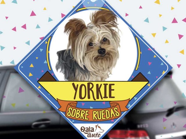 Colgante de auto de perro raza Yorkshire