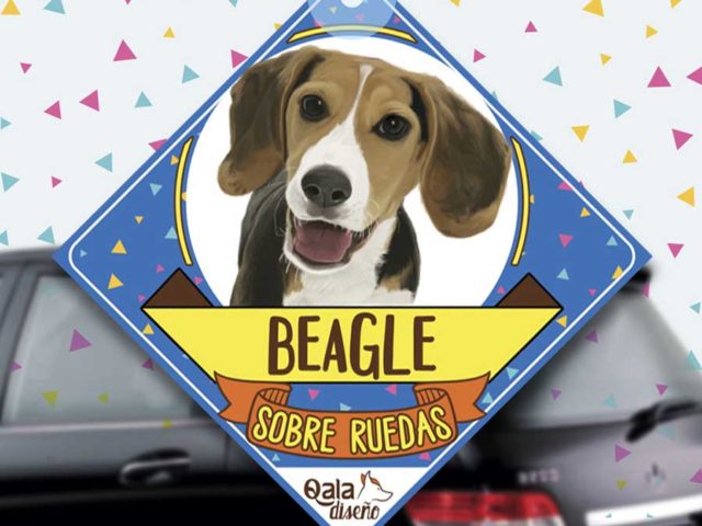 Colgante de auto de perro raza Beagle