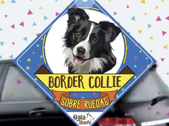 Colgante de auto de perro raza Border Collie