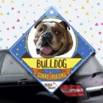 Colgante de auto de perro raza bulldog ingles