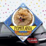 Colgante de auto de perro raza Pomerania