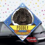 Colgante de auto de perro raza Poodle Negro