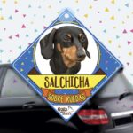 Colgante de auto de perro raza Salchicha Negro