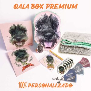 qala box premiun
