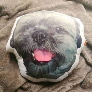 Almohada Decorativa personalizada con ilustracion