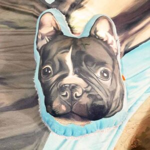 Almohada Decorativa personalizada con ilustracion