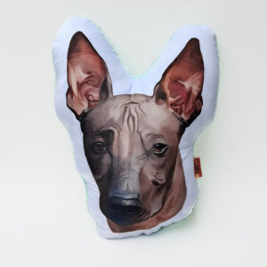 Almohada Decorativa - Perro Peruano - Imagen 1